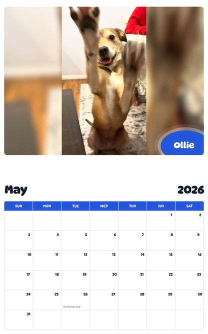 2026 - 2027 Ollie - Pawidols Pet Calendar
