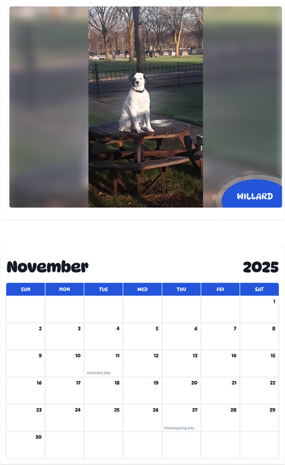 July 2025 - June 2026 Willard - Pawidols Pet Calendar