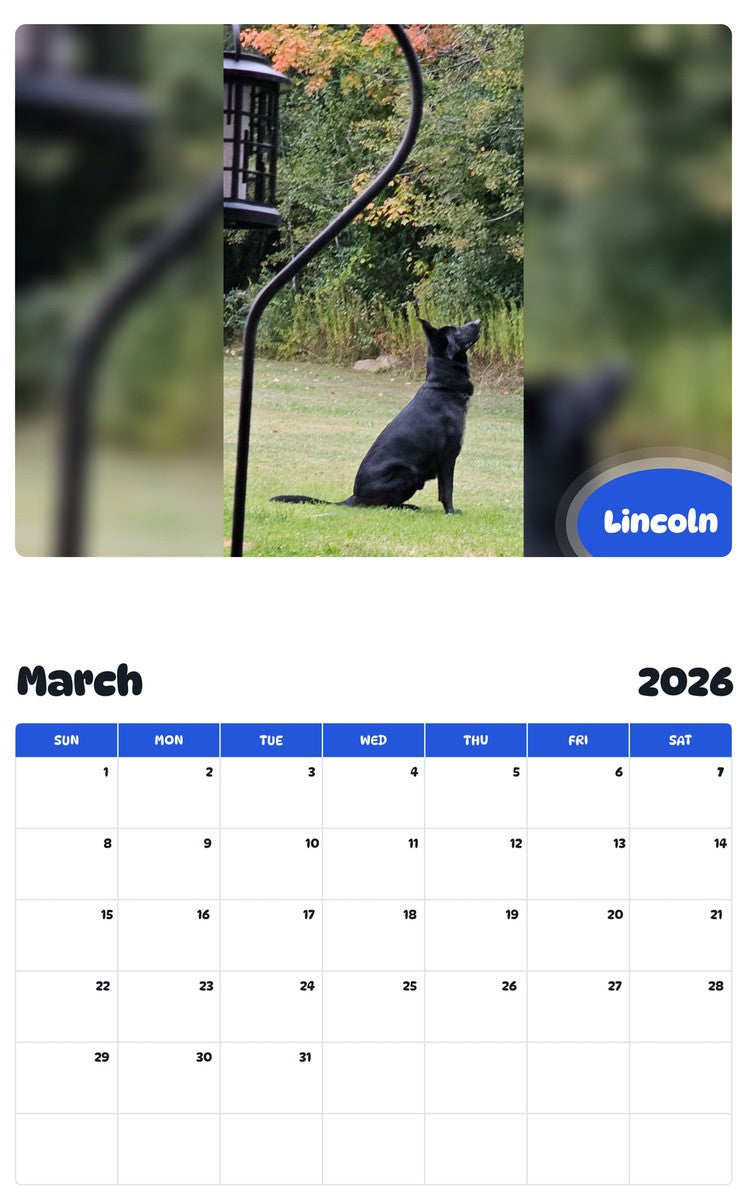 November 2025 - October 2026 Lincoln - Pawidols Pet Calendar