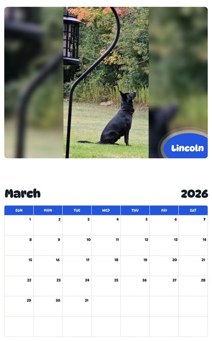 November 2025 - October 2026 Lincoln - Pawidols Pet Calendar