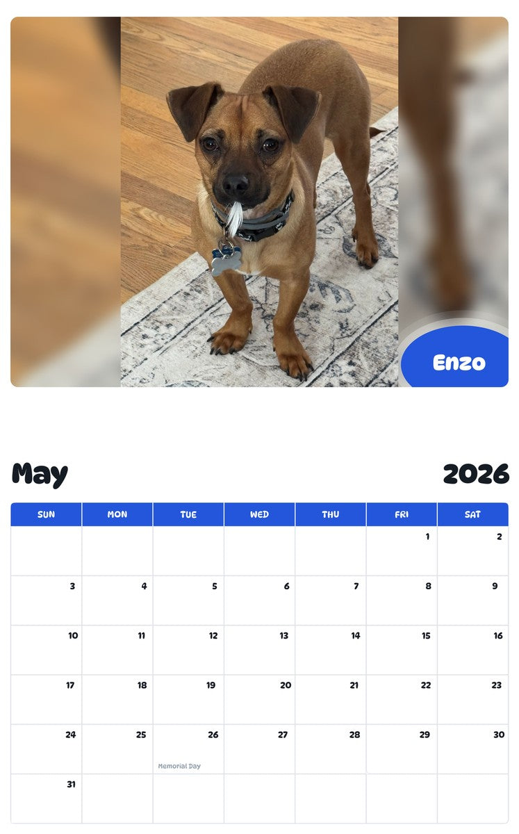 2026 - 2027 Enzo - Pawidols Pet Calendar