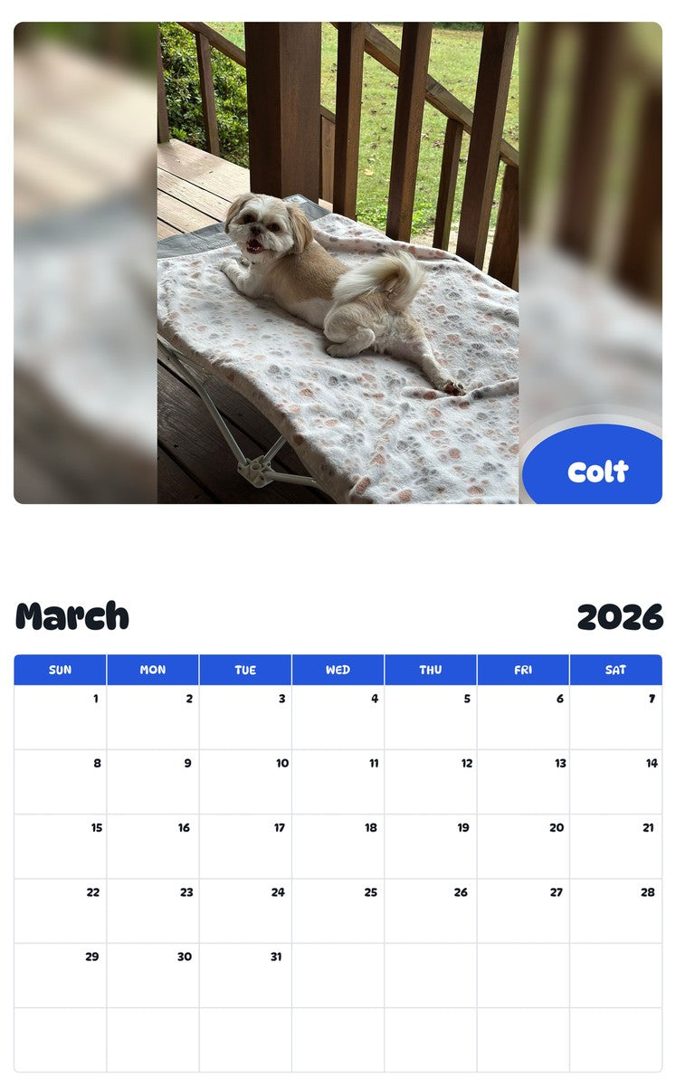 November 2025 - October 2026 Colt - Pawidols Pet Calendar