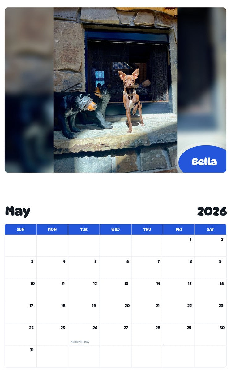2026 - 2027 Bella - Pawidols Pet Calendar