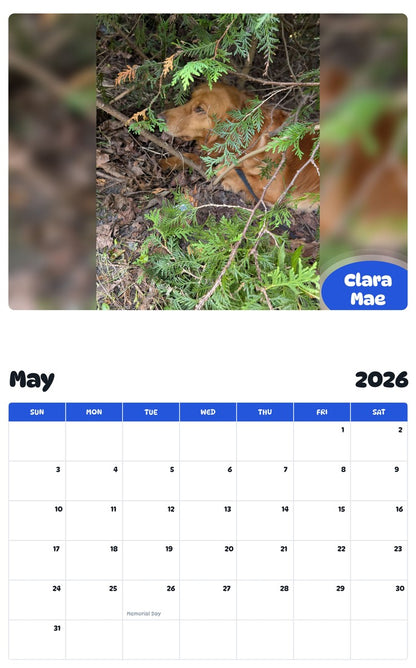 2026 - 2027 Clara Mae - Pawidols Pet Calendar