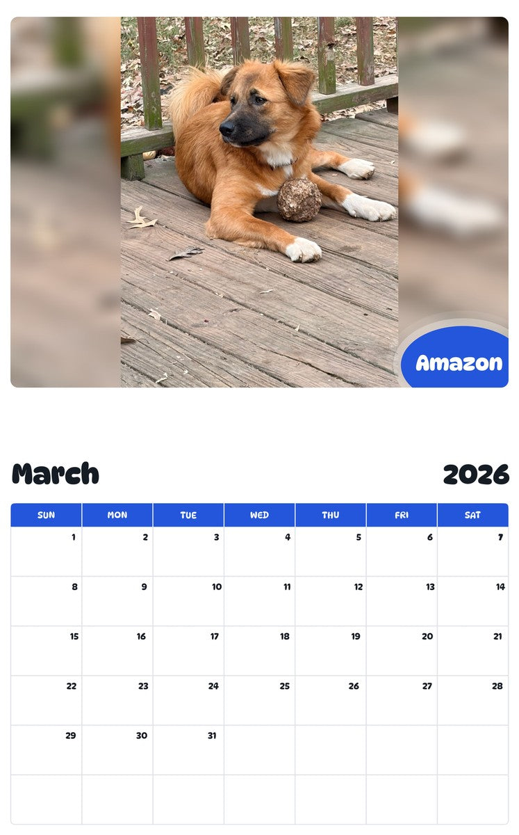 November 2025 - October 2026 Amazon - Pawidols Pet Calendar