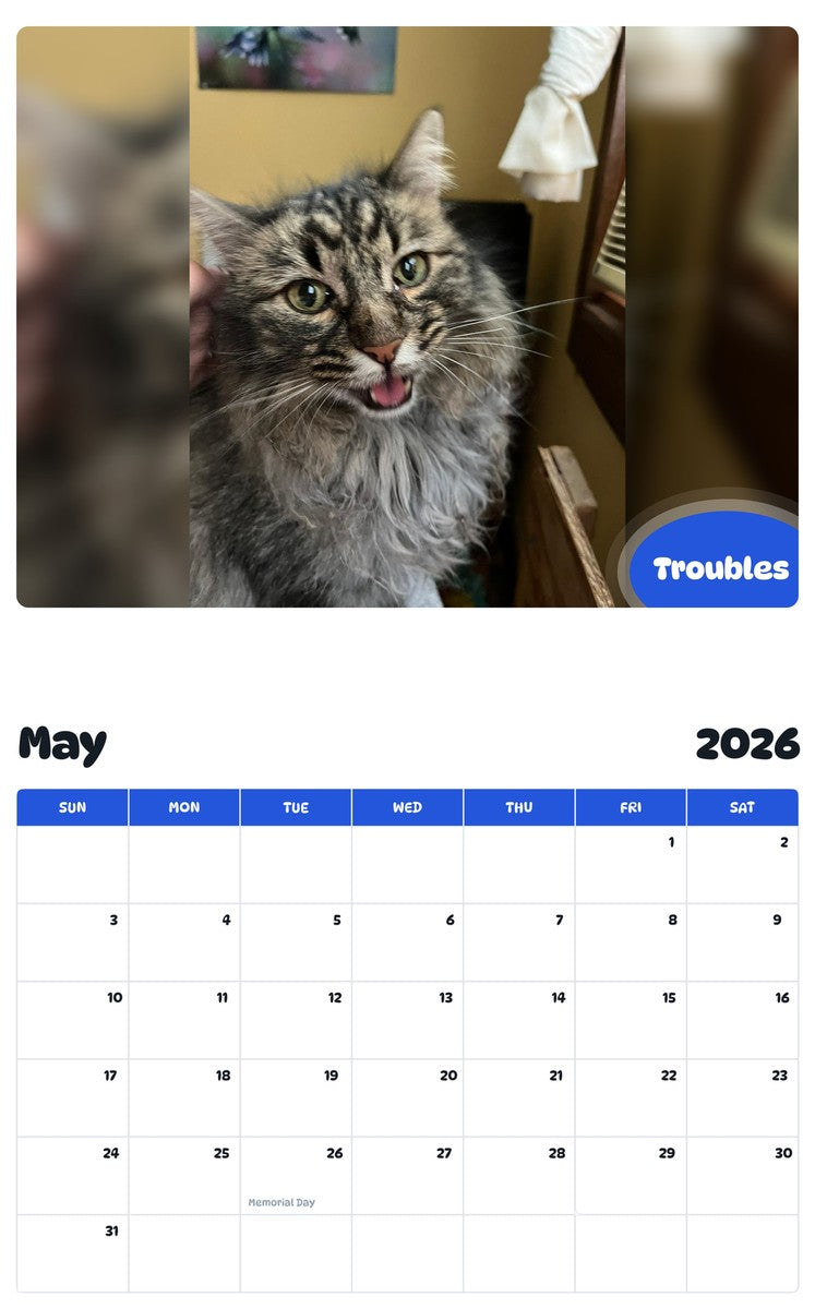 2026 - 2027 Troubles - Pawidols Pet Calendar