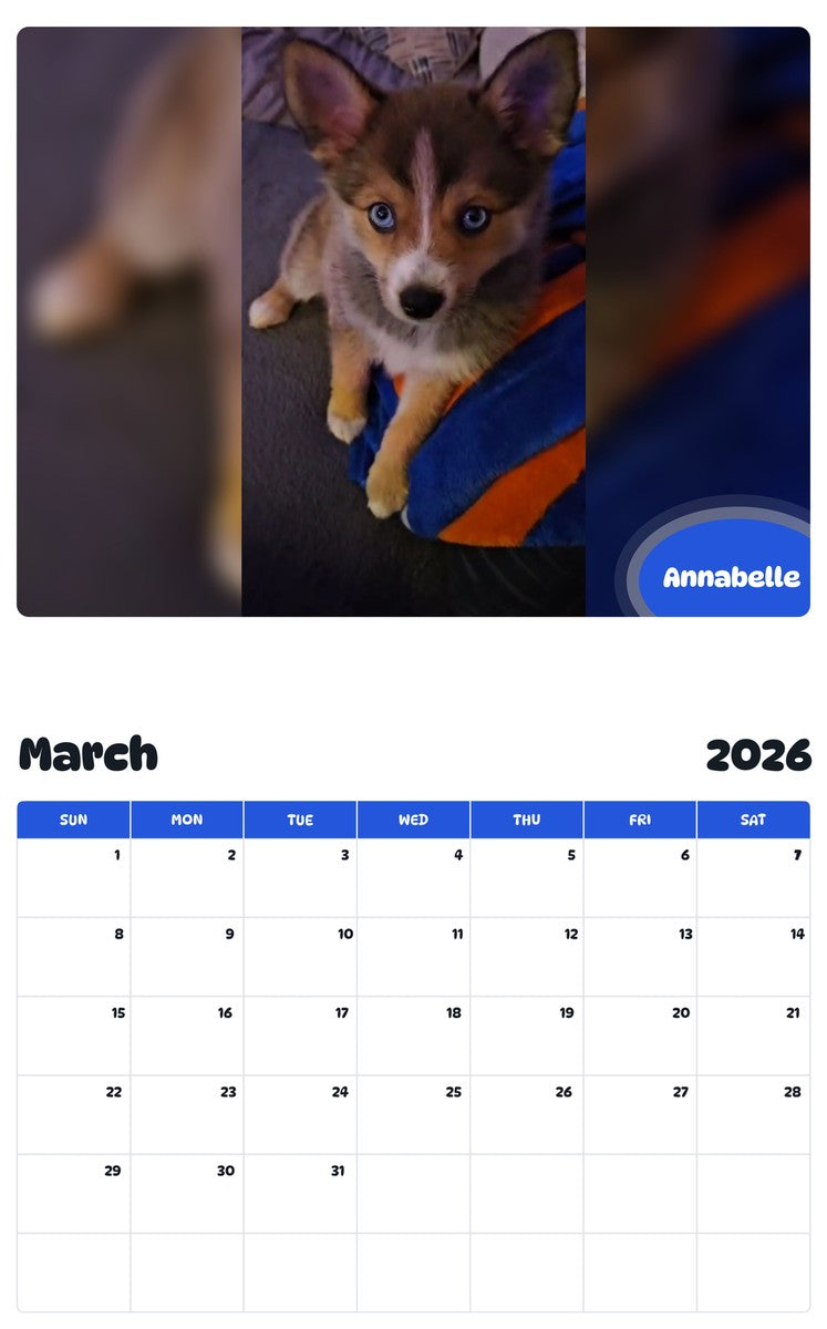 November 2025 - October 2026 Annabelle - Pawidols Pet Calendar