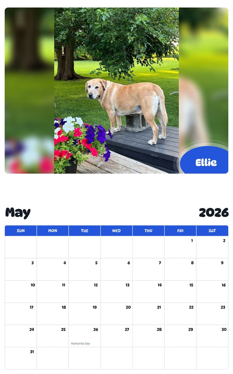 2026 - 2027 Ellie - Pawidols Pet Calendar