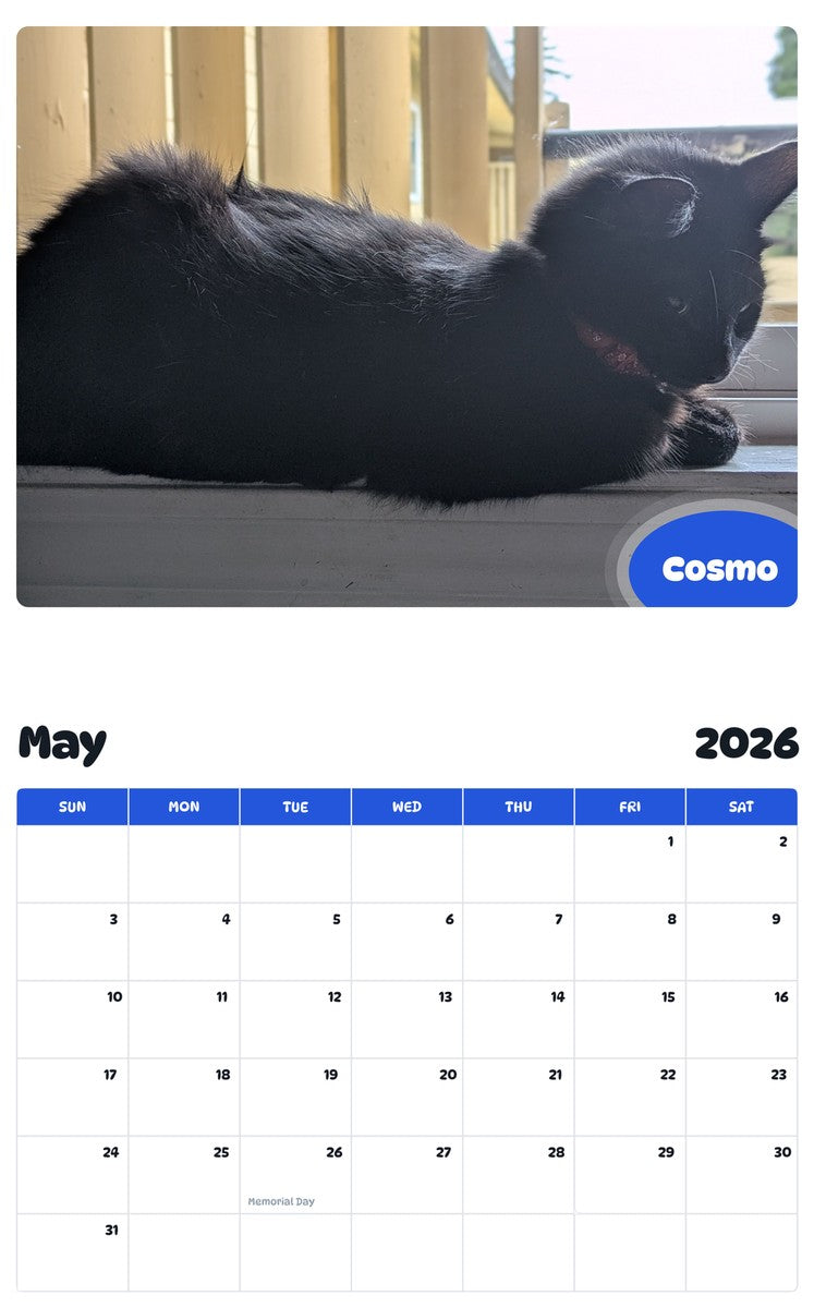 2026 - 2027 Cosmo - Pawidols Pet Calendar