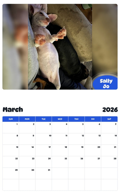 November 2025 - October 2026 Sally Jo - Pawidols Pet Calendar