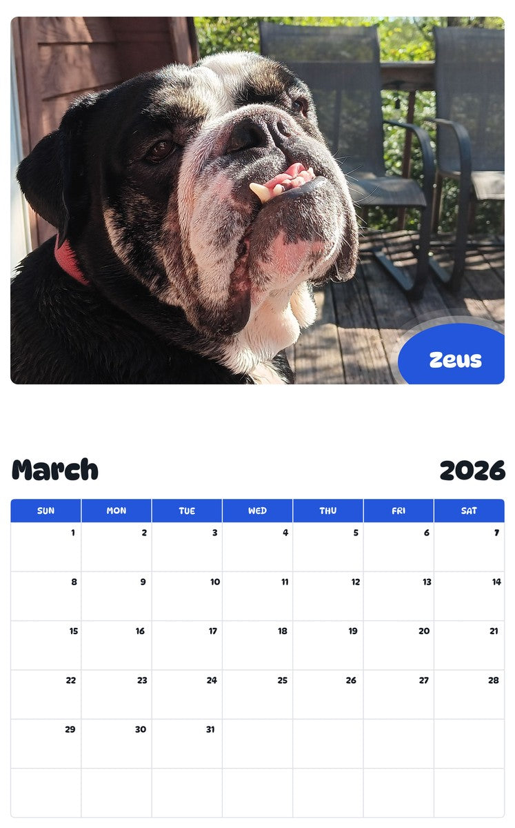 November 2025 - October 2026 Zeus - Pawidols Pet Calendar