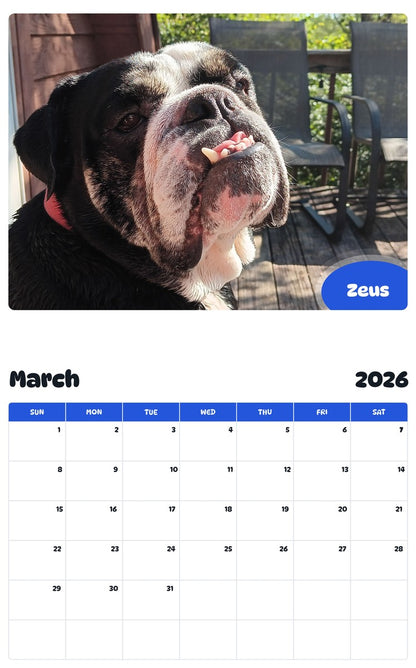 November 2025 - October 2026 Zeus - Pawidols Pet Calendar