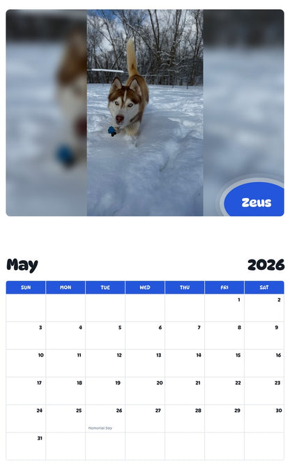 2026 - 2027 Zeus - Pawidols Pet Calendar