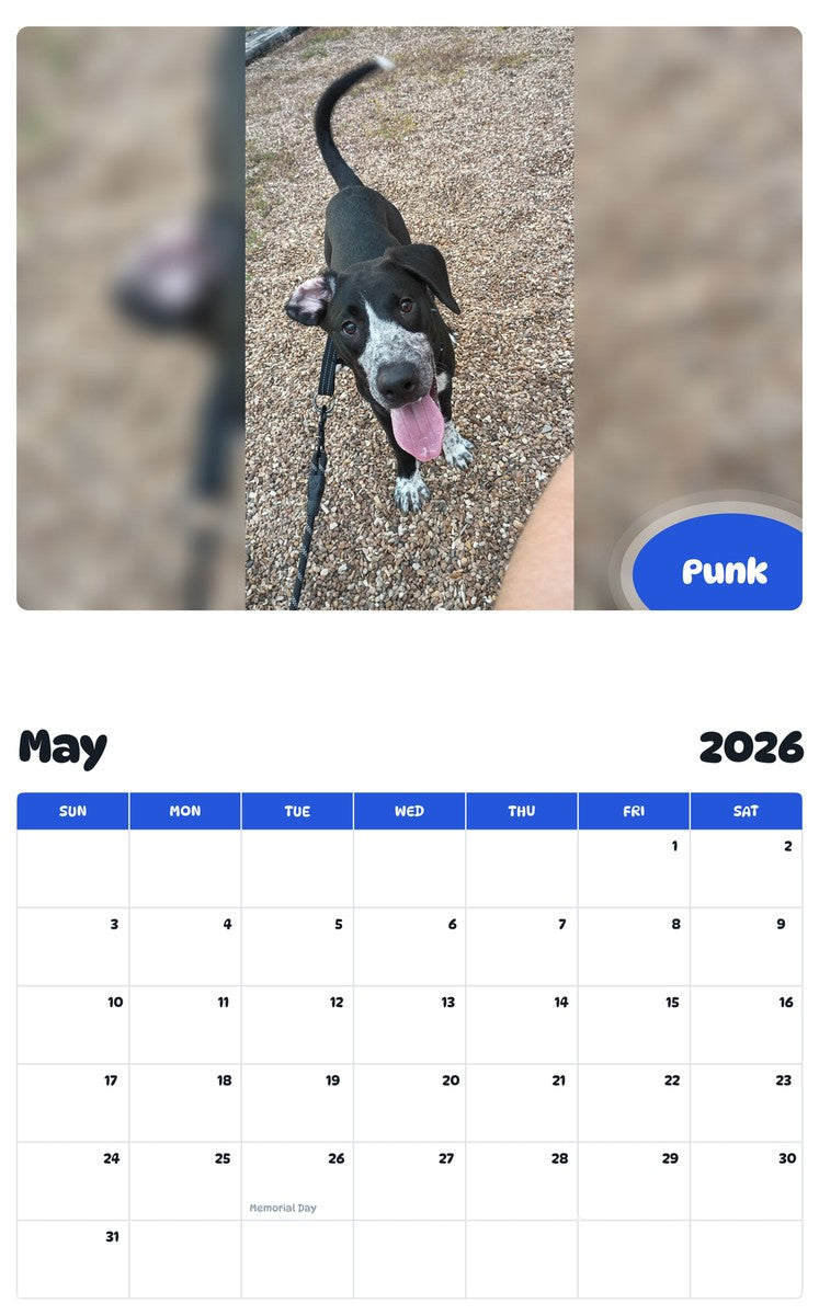 2026 - 2027 Punk - Pawidols Pet Calendar