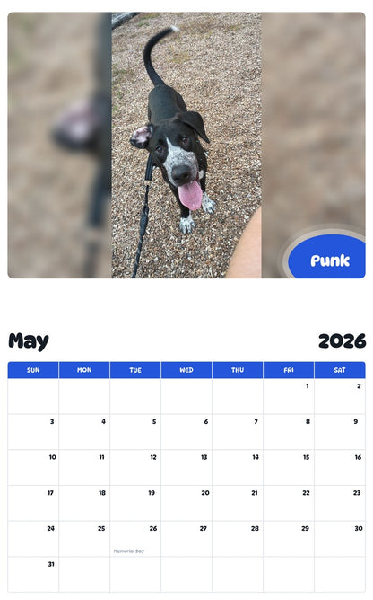 2026 - 2027 Punk - Pawidols Pet Calendar