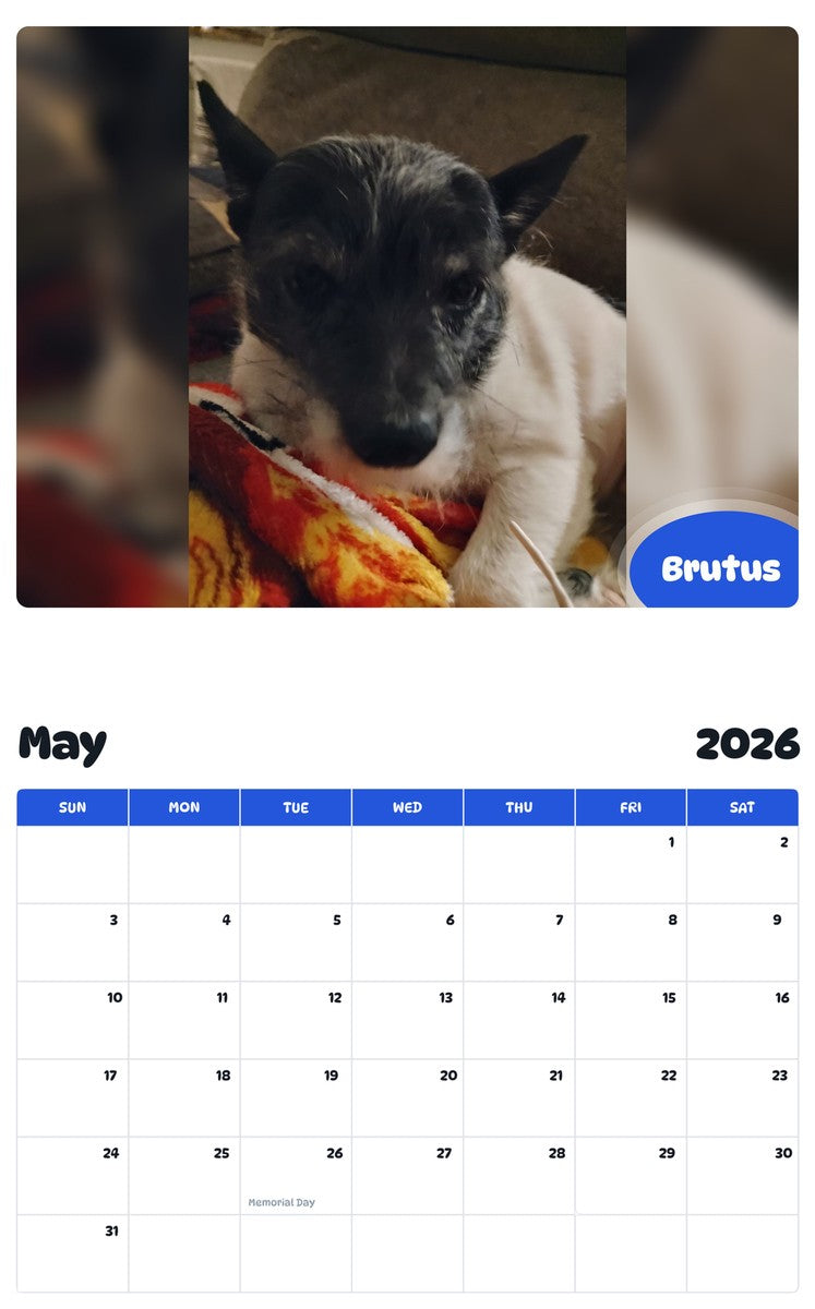 2026 - 2027 Brutus - Pawidols Pet Calendar