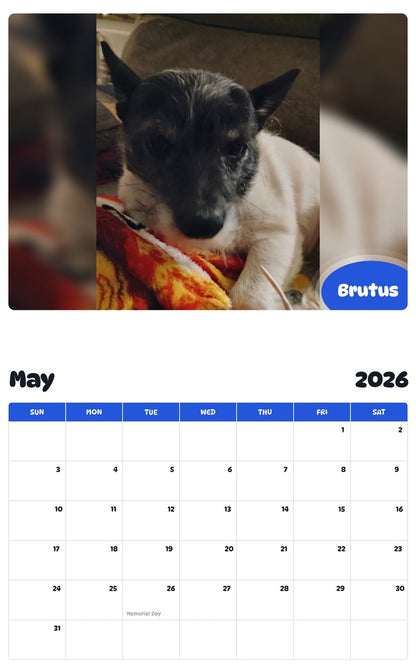 2026 - 2027 Brutus - Pawidols Pet Calendar