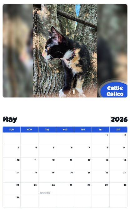 2026 - 2027 Callie Calico - Pawidols Pet Calendar