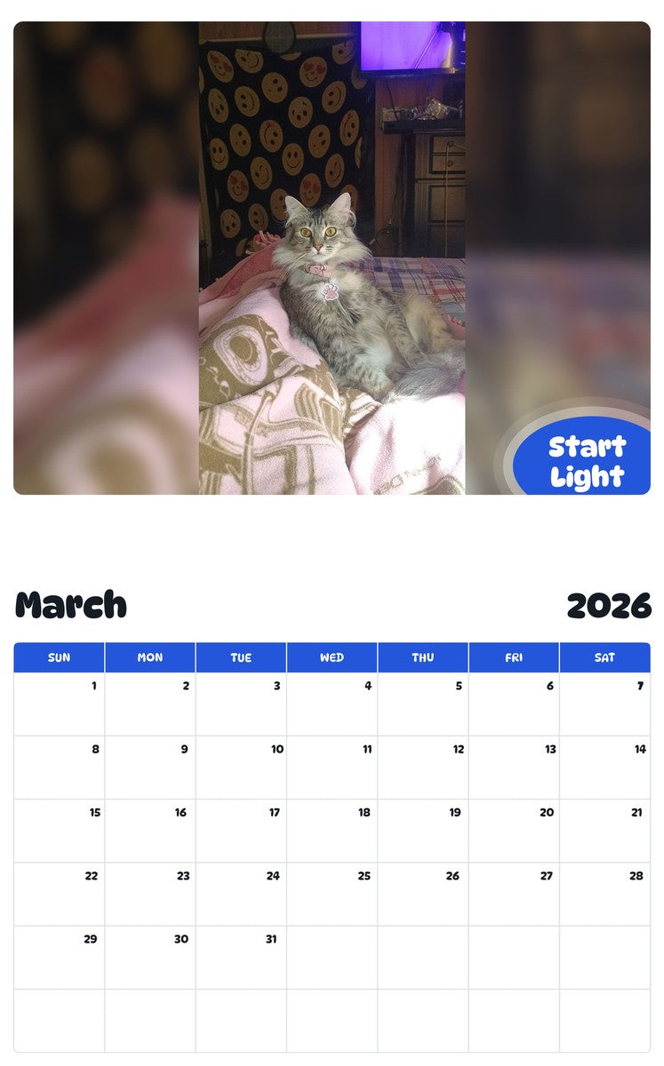 November 2025 - October 2026 Start Light - Pawidols Pet Calendar
