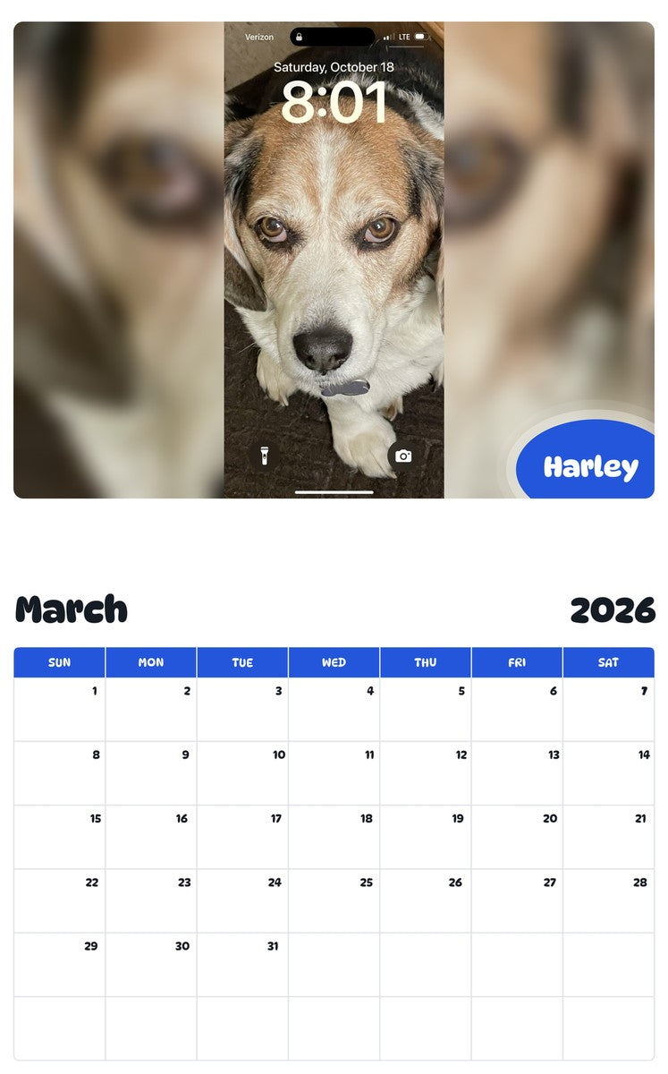 November 2025 - October 2026 Harley - Pawidols Pet Calendar