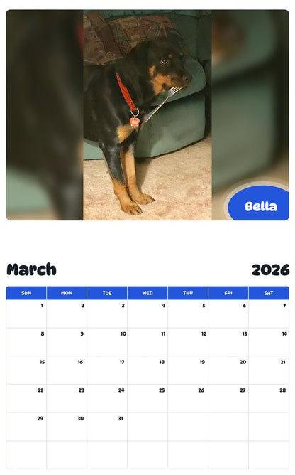 November 2025 - October 2026 Bella - Pawidols Pet Calendar