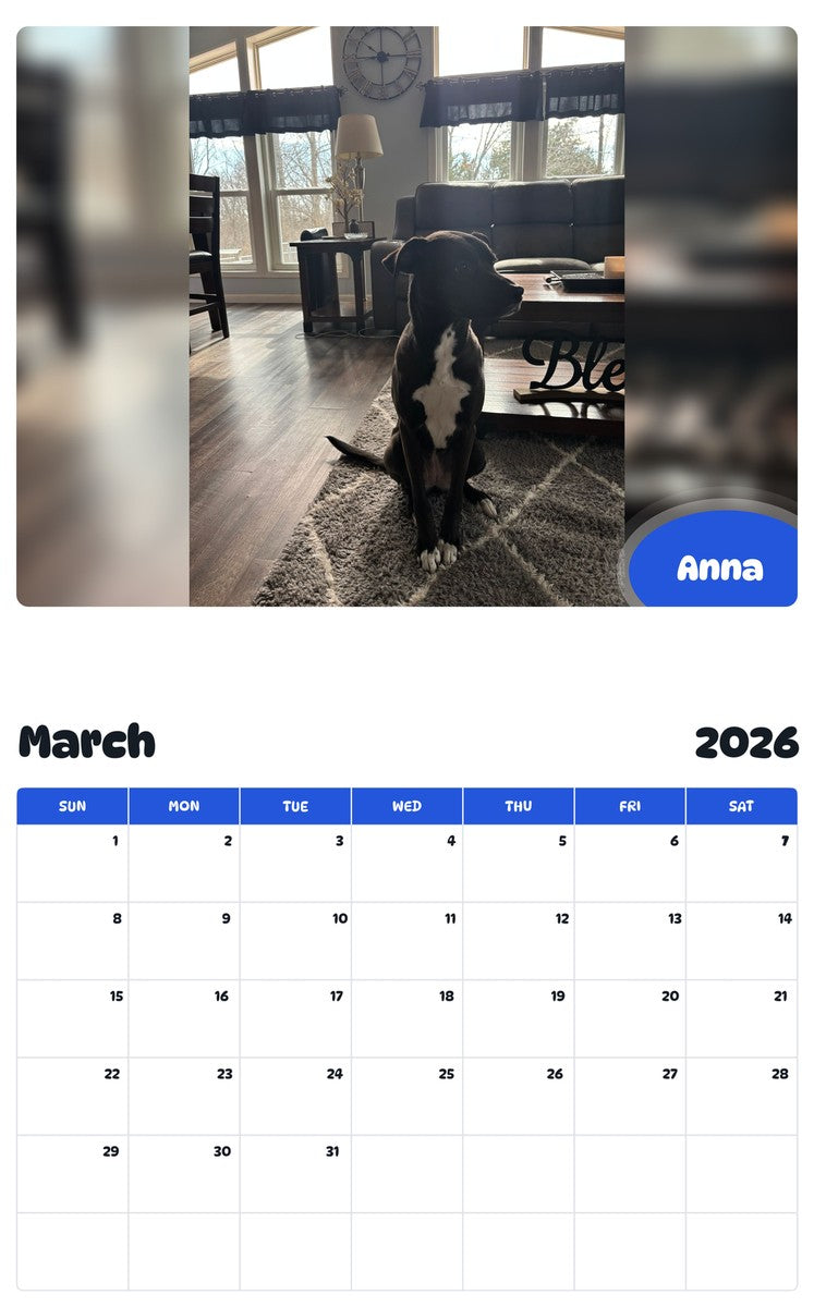 November 2025 - October 2026 Anna - Pawidols Pet Calendar