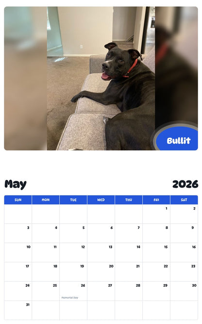 2026 - 2027 Bullit - Pawidols Pet Calendar
