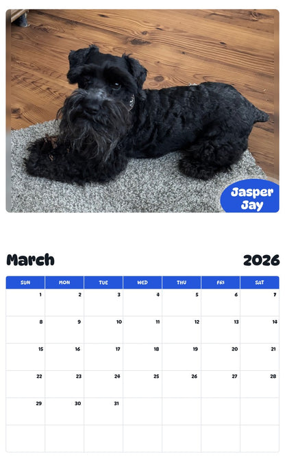 November 2025 - October 2026 Jasper Jay - Pawidols Pet Calendar