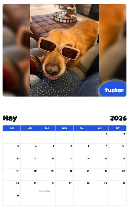 2026 - 2027 Tucker - Pawidols Pet Calendar
