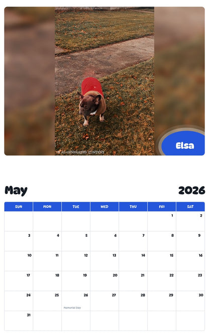 2026 - 2027 Elsa - Pawidols Pet Calendar