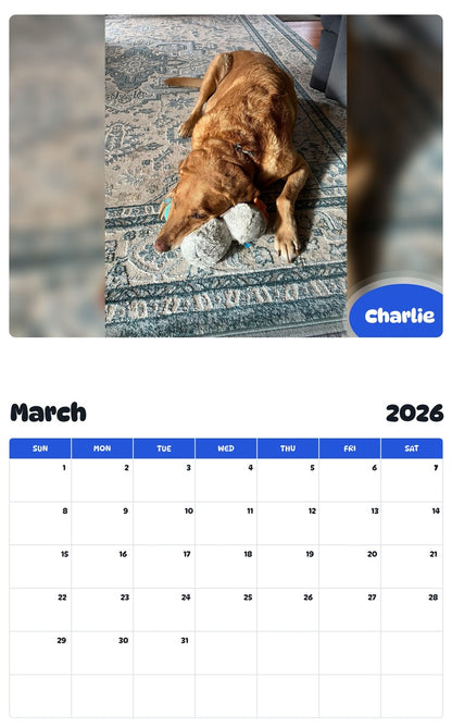 November 2025 - October 2026 Charlie - Pawidols Pet Calendar