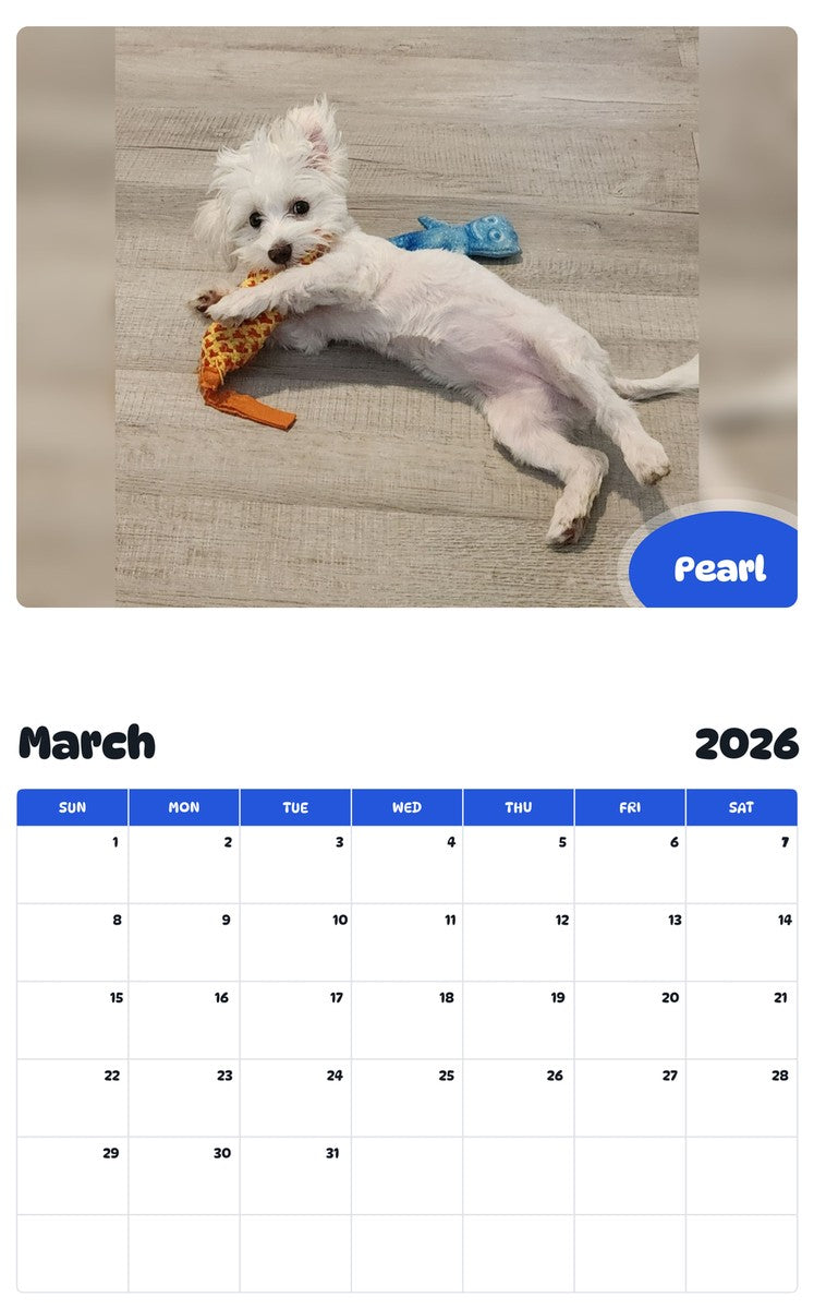 November 2025 - October 2026 Pearl - Pawidols Pet Calendar