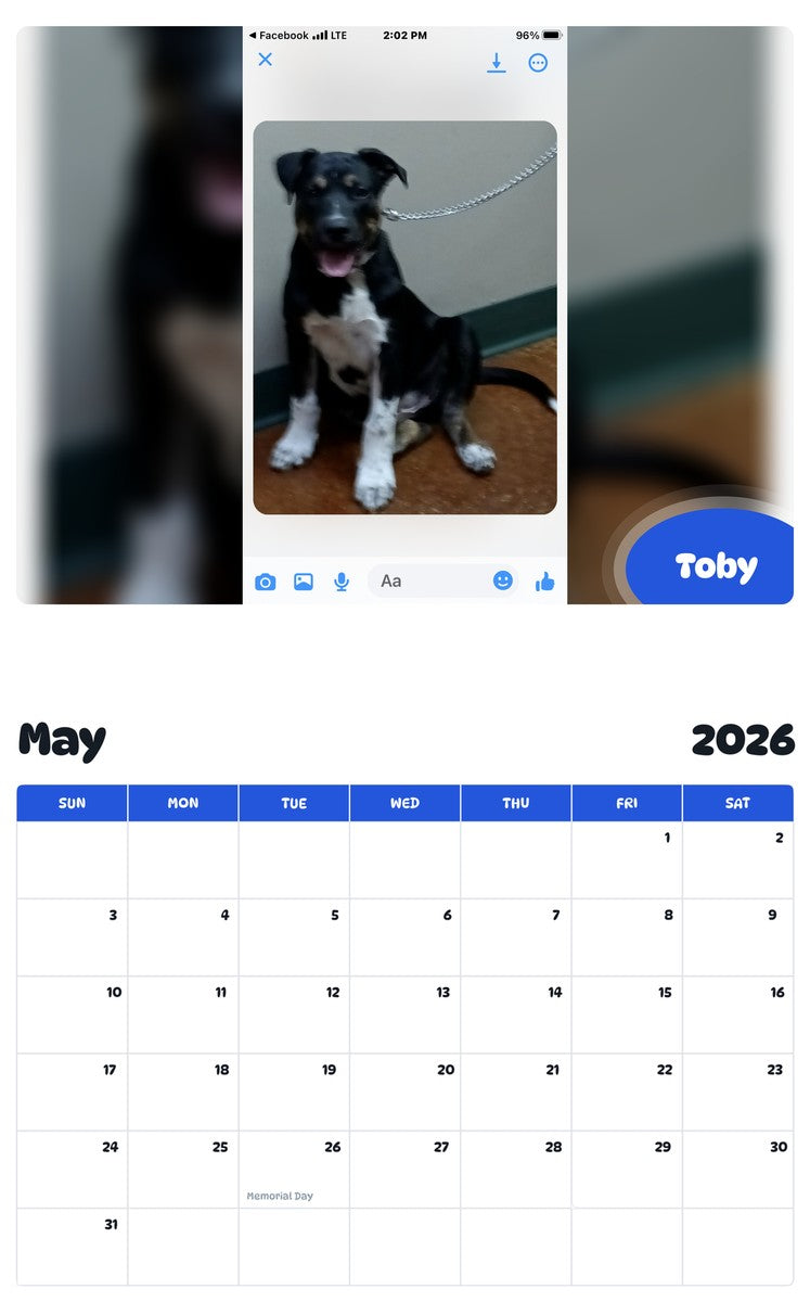 2026 - 2027 Toby - Pawidols Pet Calendar