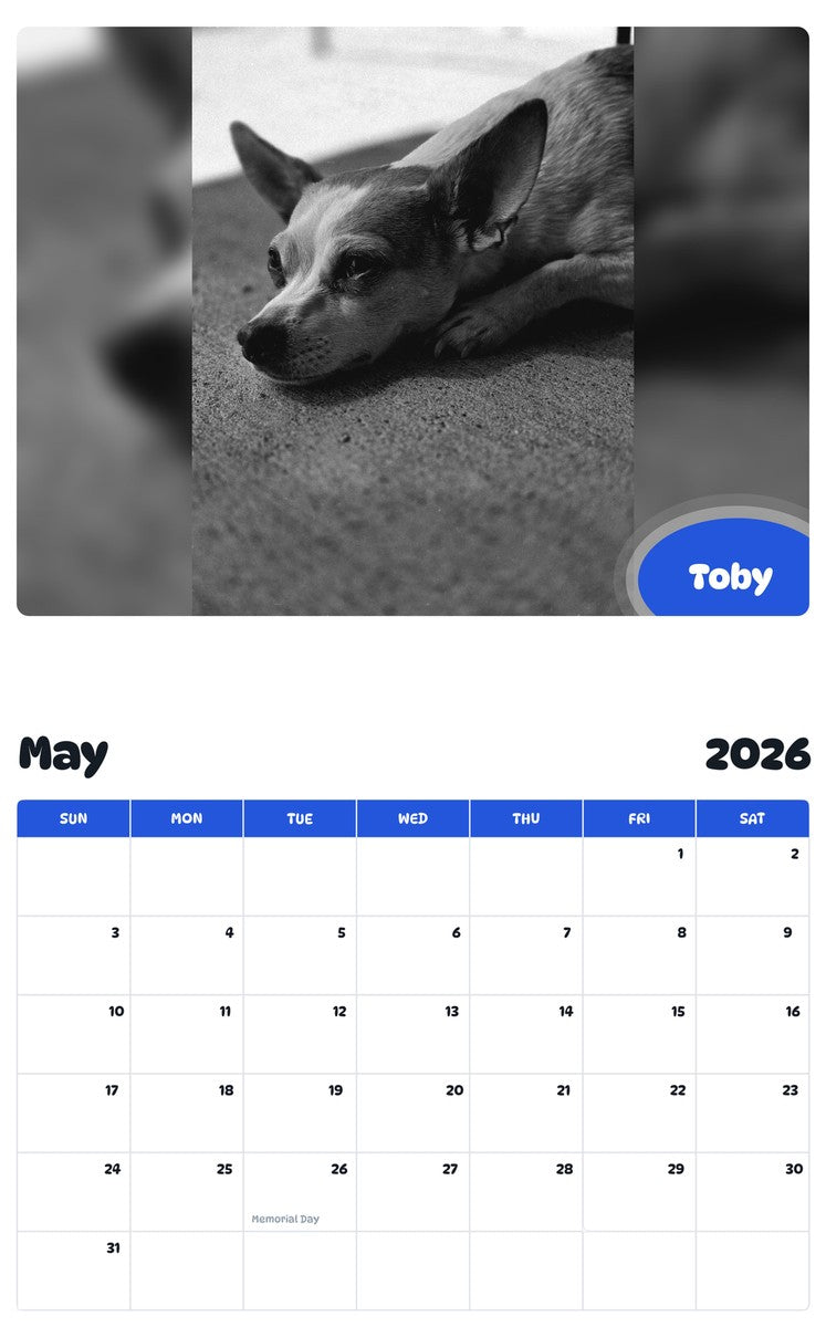 2026 - 2027 Toby - Pawidols Pet Calendar