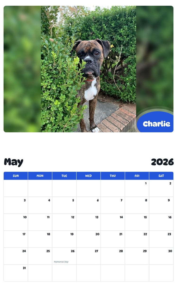 2026 - 2027 Charlie - Pawidols Pet Calendar