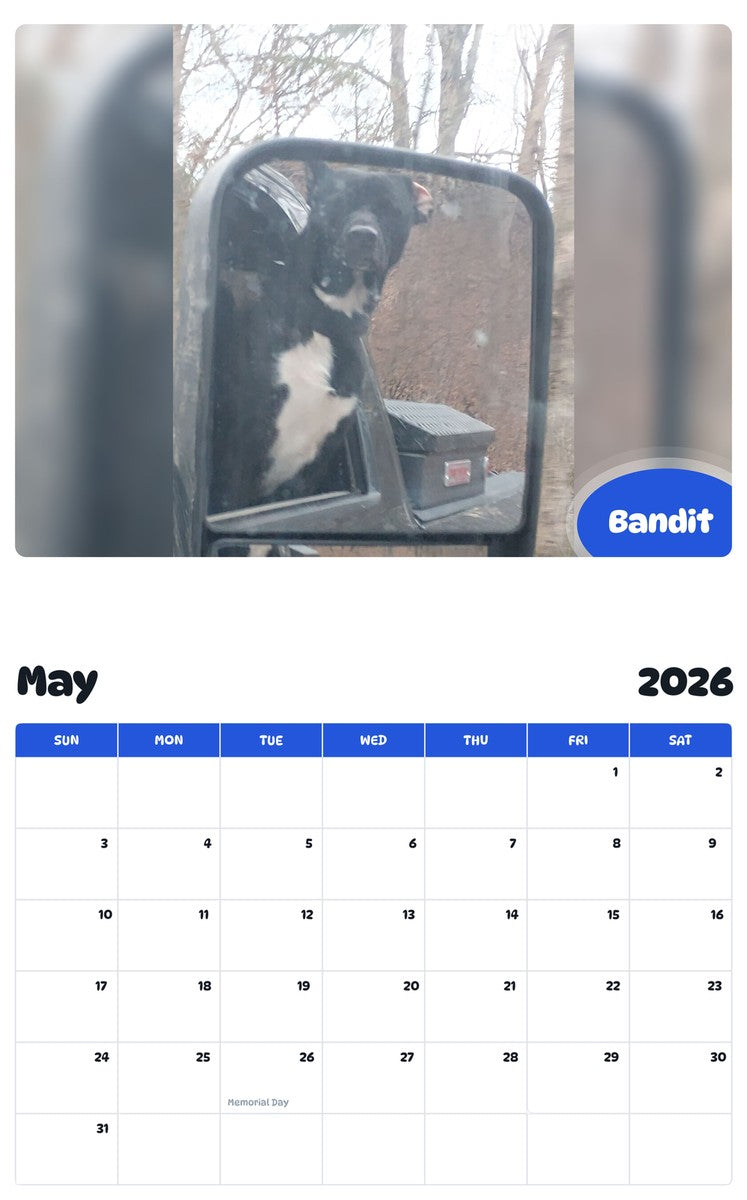 2026 - 2027 Bandit - Pawidols Pet Calendar