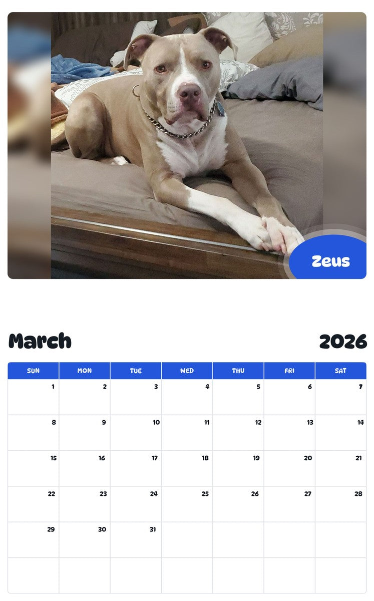 November 2025 - October 2026 Zeus - Pawidols Pet Calendar