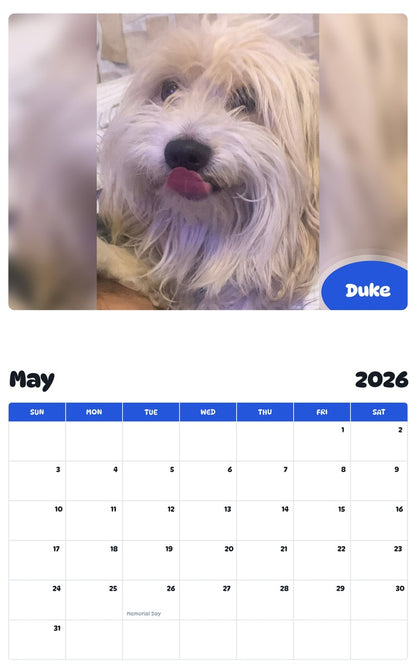2026 - 2027 Duke - Pawidols Pet Calendar