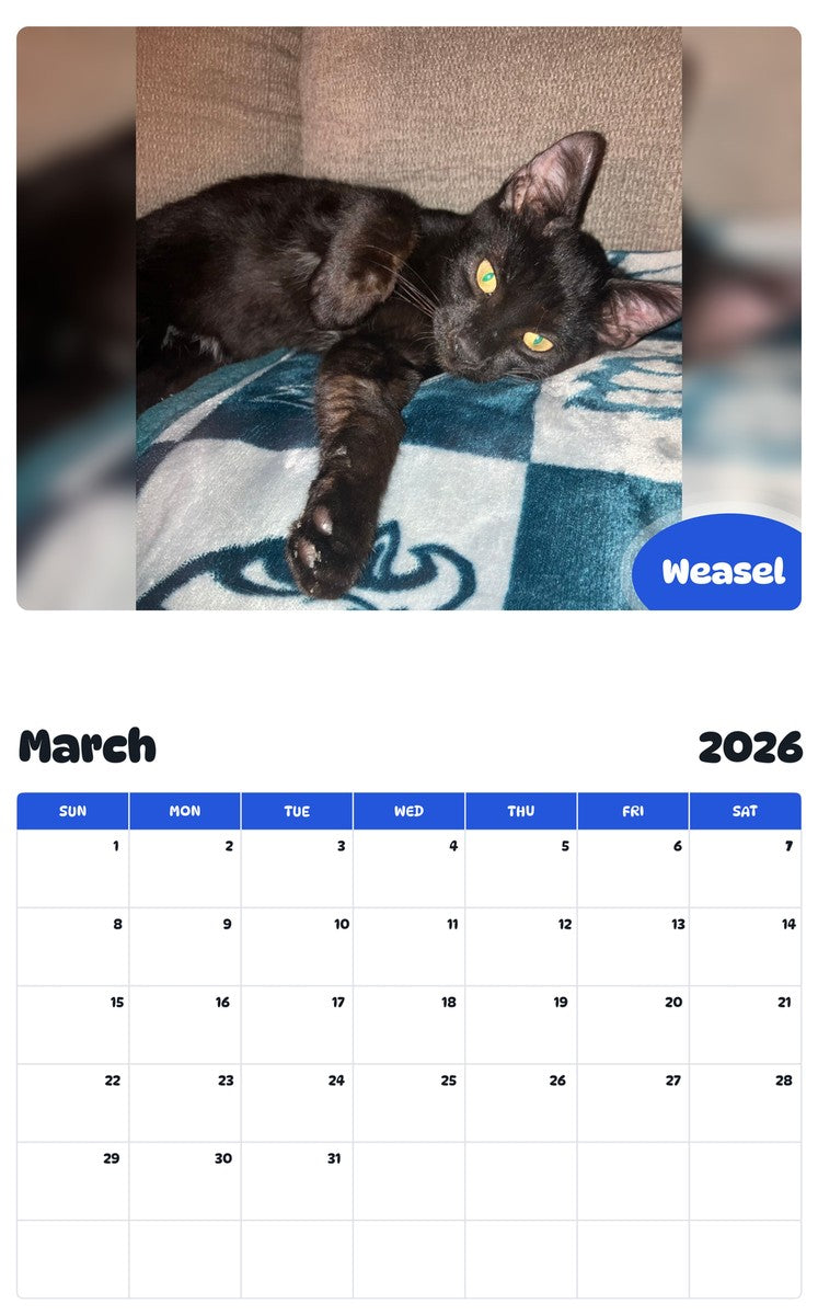 November 2025 - October 2026 Weasel - Pawidols Pet Calendar