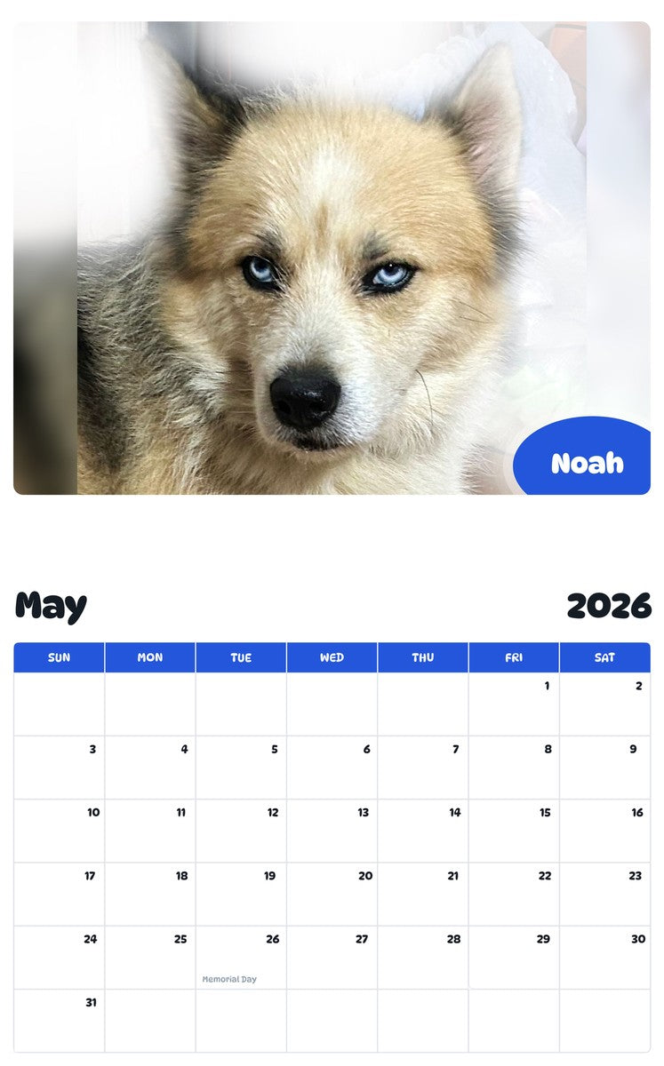 2026 - 2027 Noah - Pawidols Pet Calendar