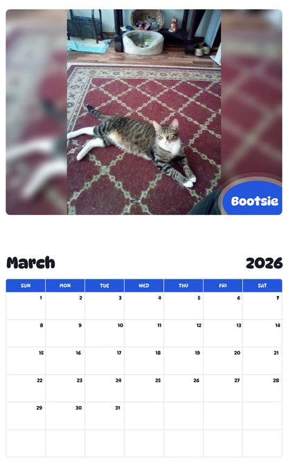 November 2025 - October 2026 Bootsie - Pawidols Pet Calendar