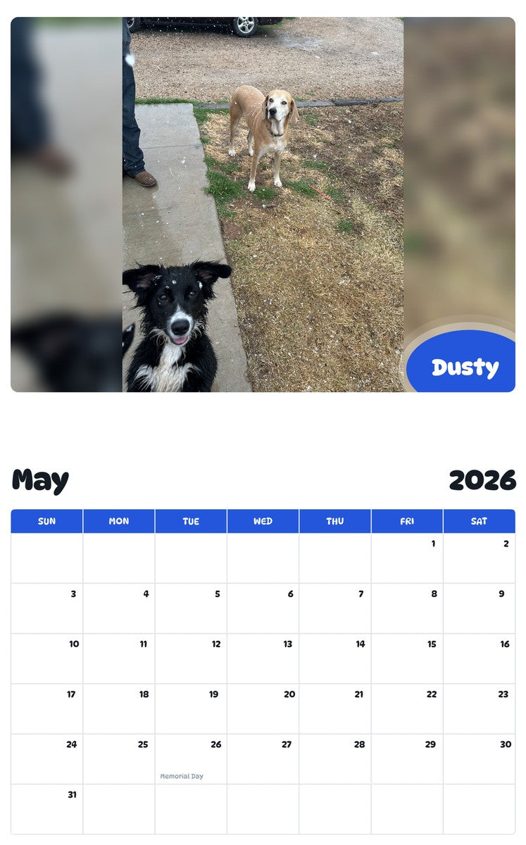 2026 - 2027 Dusty - Pawidols Pet Calendar