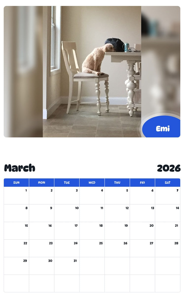 November 2025 - October 2026 Emi - Pawidols Pet Calendar