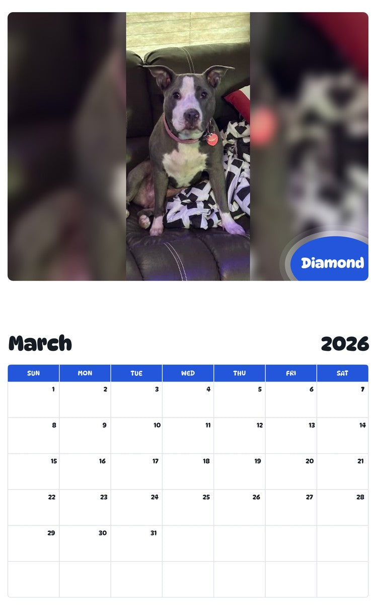 November 2025 - October 2026 Diamond - Pawidols Pet Calendar