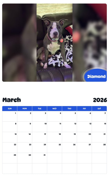 November 2025 - October 2026 Diamond - Pawidols Pet Calendar