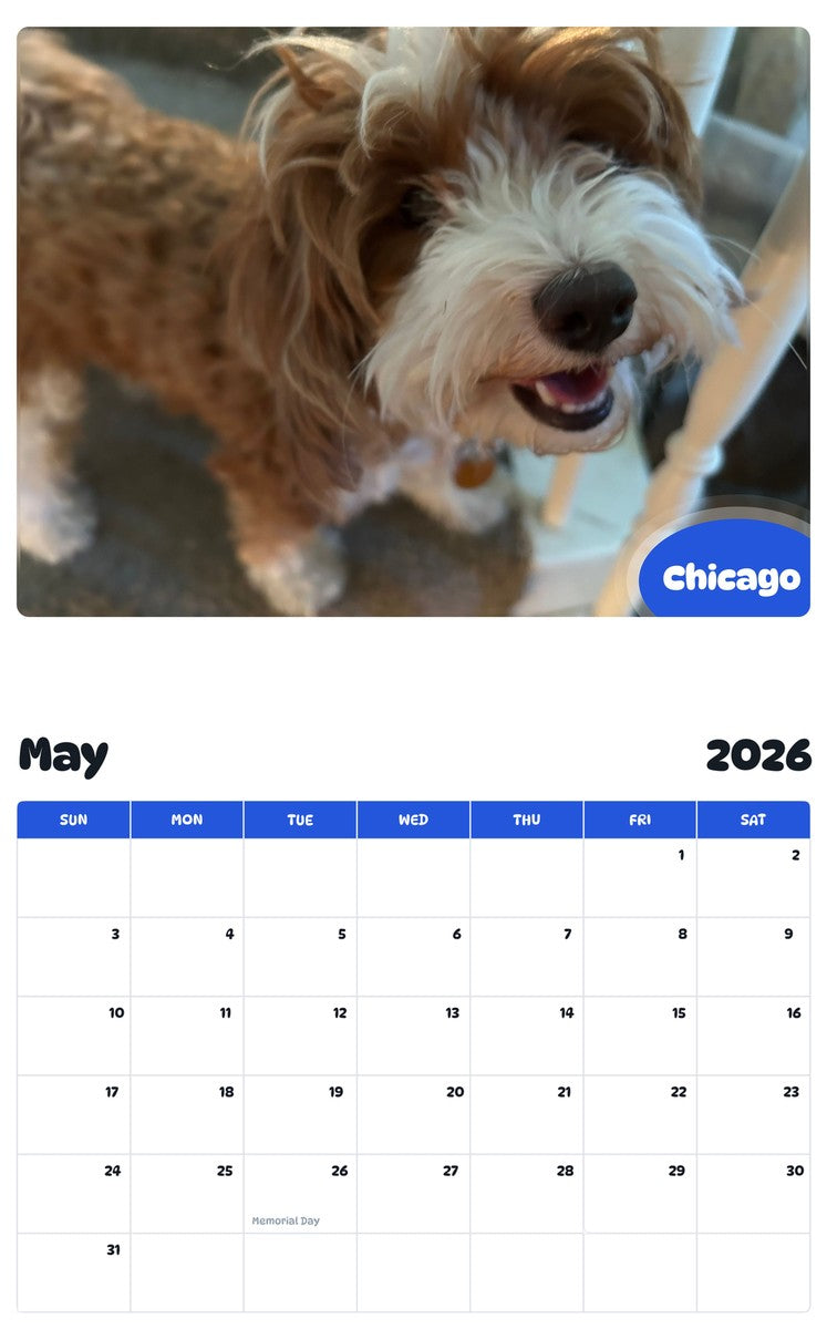 2026 - 2027 Chicago - Pawidols Pet Calendar