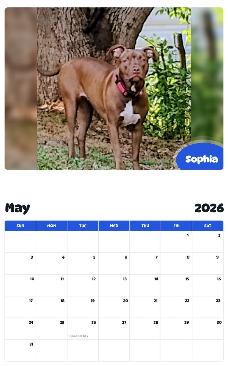 2026 - 2027 Sophia - Pawidols Pet Calendar