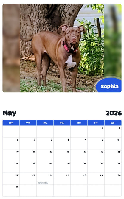 2026 - 2027 Sophia - Pawidols Pet Calendar