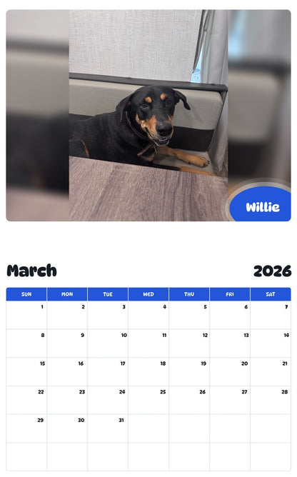 November 2025 - October 2026 Willie - Pawidols Pet Calendar