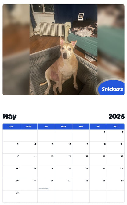2026 - 2027 Snickers - Pawidols Pet Calendar